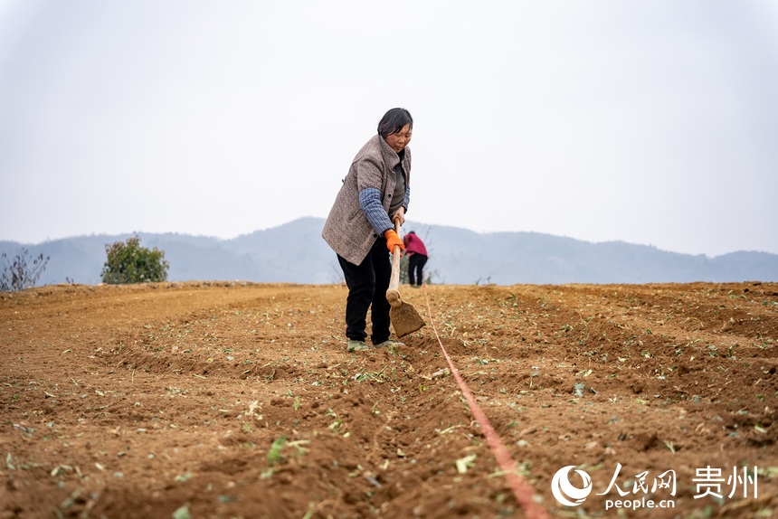 村民正在整理土地。人民網 涂敏攝