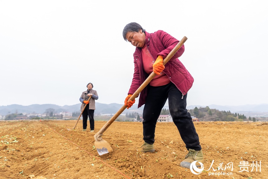 村民正在整理土地。人民網 涂敏攝
