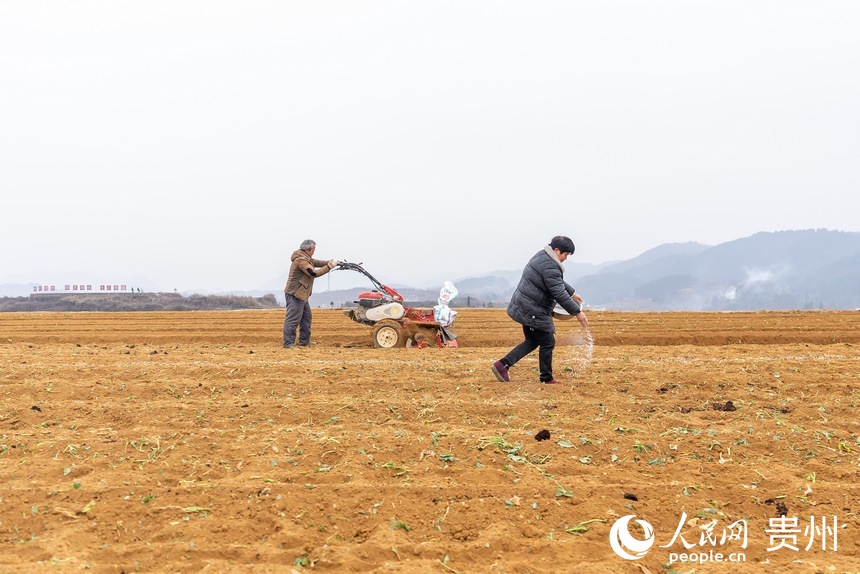 村民在田間勞動。人民網 涂敏攝