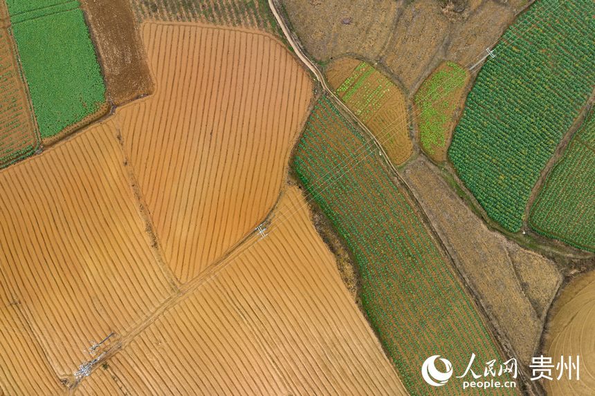 航拍整理后的土地。人民網 涂敏攝