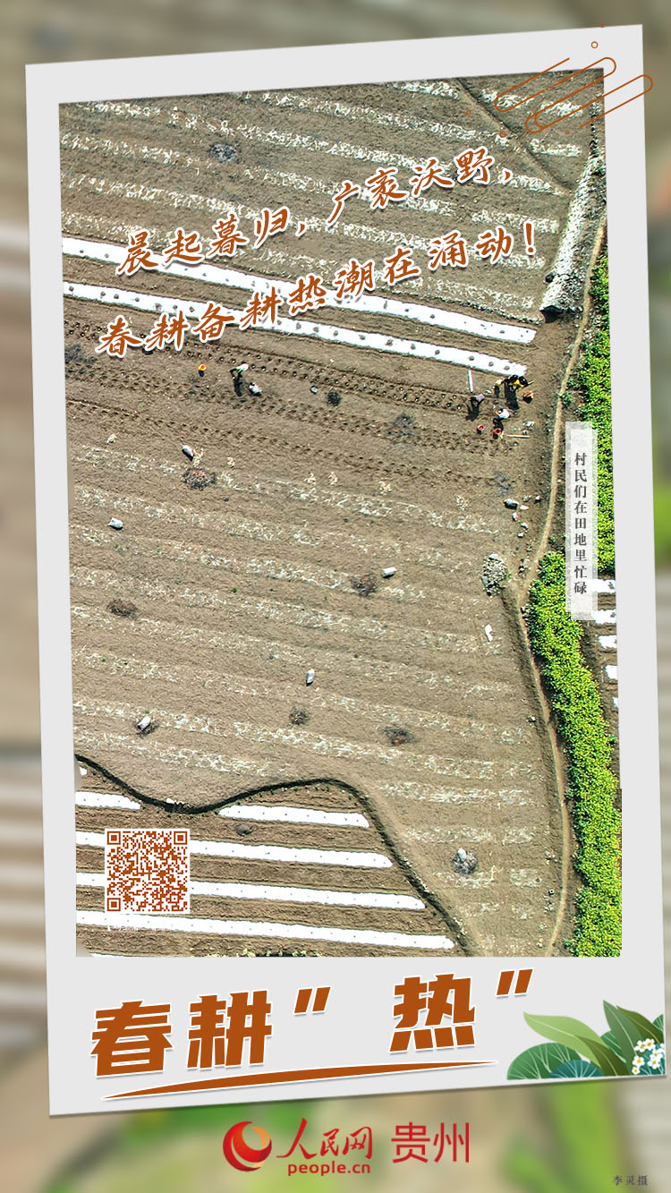 晨起暮歸，廣袤沃野，春耕備耕熱潮在涌動！