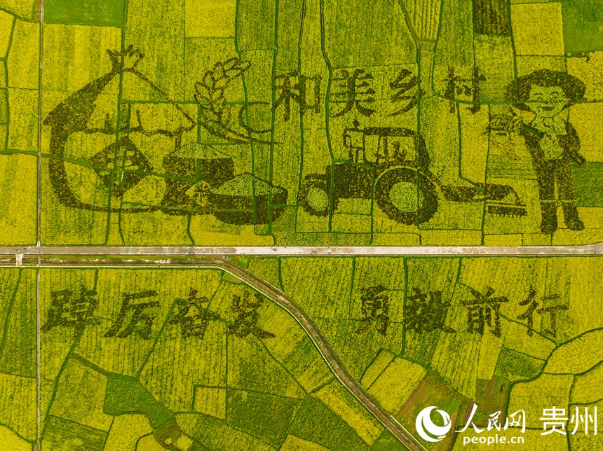 司前壩區打造的花田畫。人民網 陽茜攝