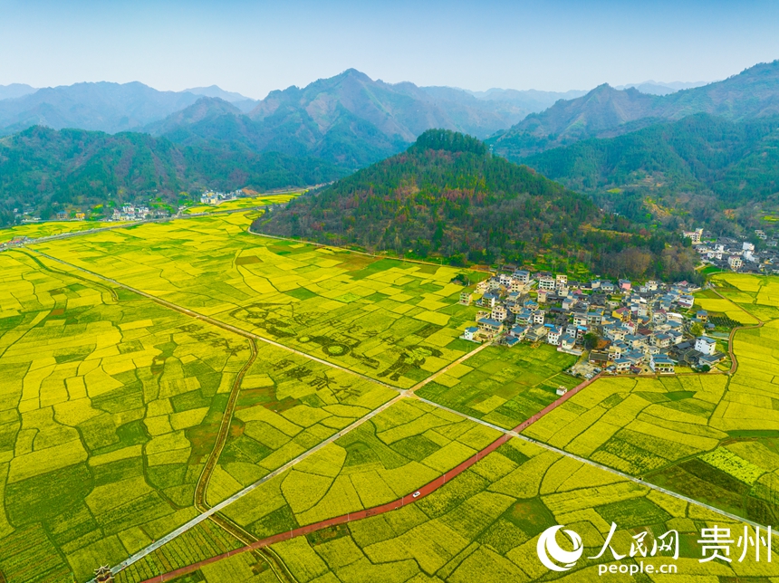 司前壩區的油菜花花期將持續到4月中旬。人民網 陽茜攝