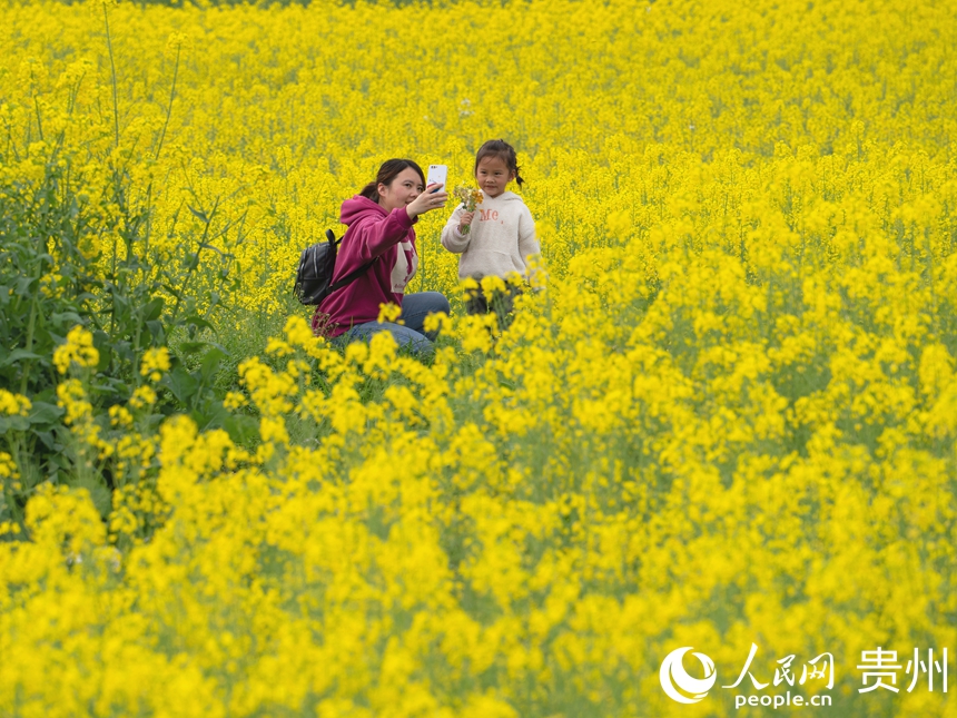 游客駐足于花海中與油菜花合影留念。人民網 陽茜攝