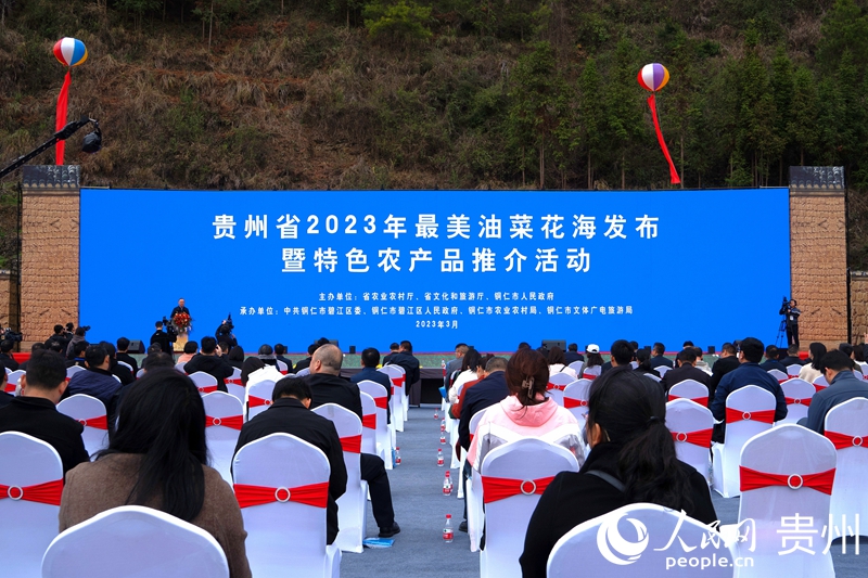 活動儀式現場。人民網 陽茜攝