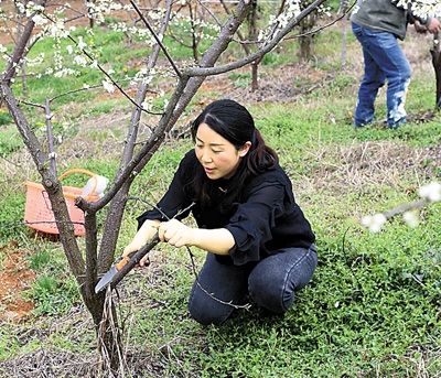 涂顯麗。受訪者供圖