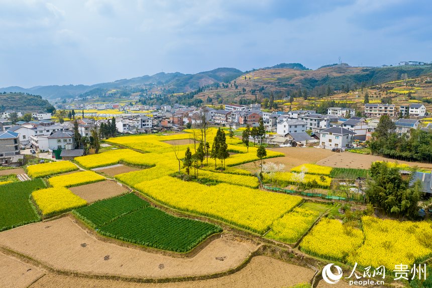 航拍如詩如畫的貴州省遵義市桐梓縣官倉鎮。 人民網 涂敏攝