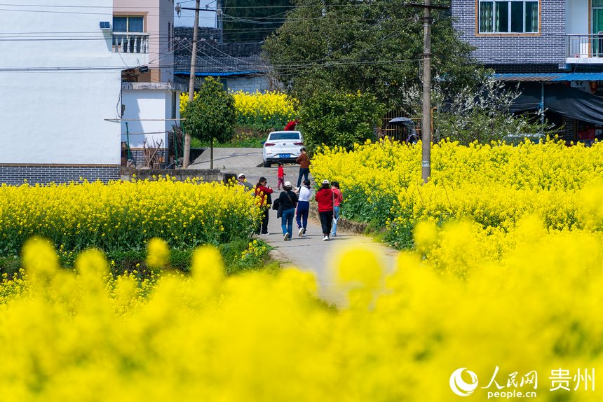 穿行在花田中的游客。人民網 涂敏攝