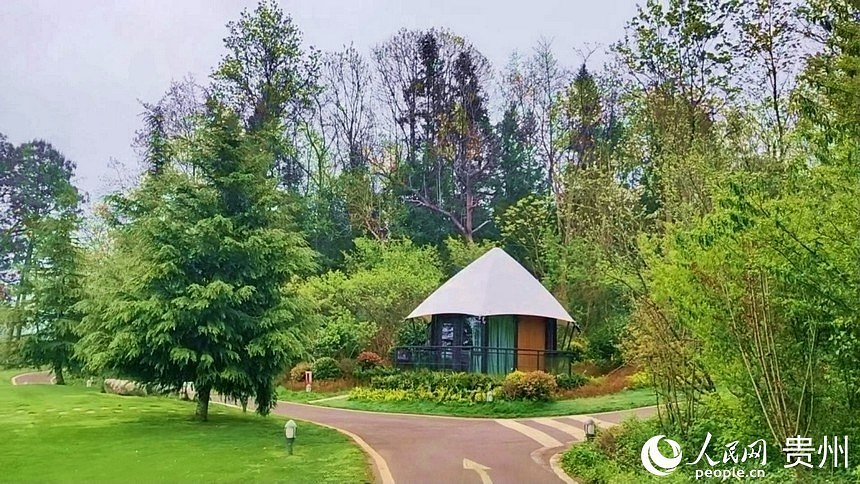 民宿客房零星散落于森林之間、草坪之上。人民網 李永馨攝
