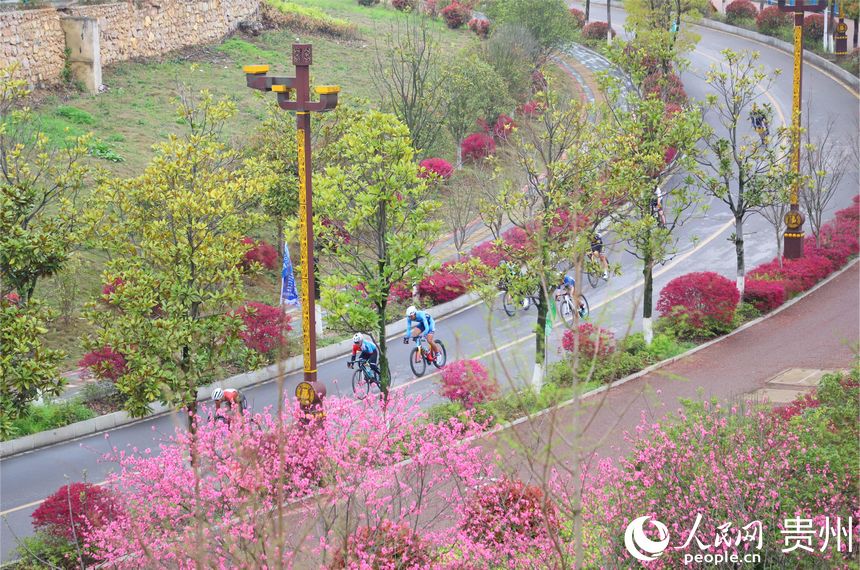 參賽選手穿梭在開滿花的公路賽道。人民網 顧蘭云攝