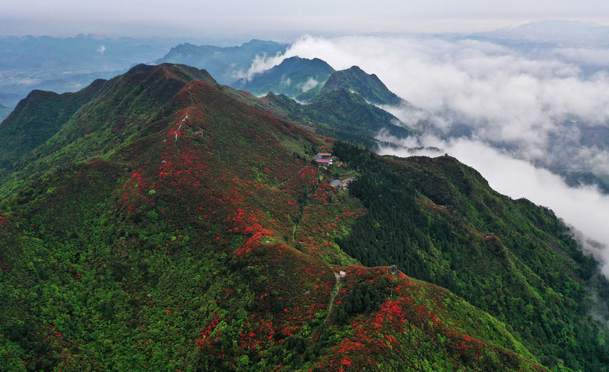 雨后云霧中的丹寨縣龍泉山景色（無人機照片）。