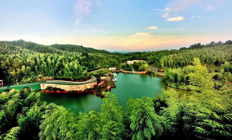 赤水竹海國家森林公園。王茂祥 攝