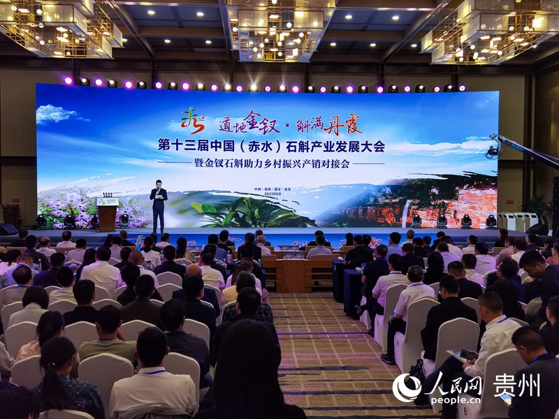 會議現場。人民網 王秀芳攝