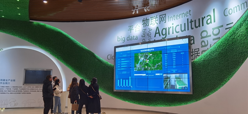 貴陽市白云區智慧菌云平臺。 （白云區委宣傳部 供圖