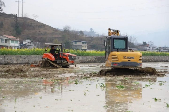 桐梓農業機械化生產現場。 曹園園攝