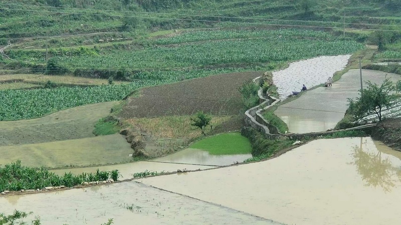 修文縣灑坪鎮蜈蚣橋村 聶筱晴 攝.jpeg