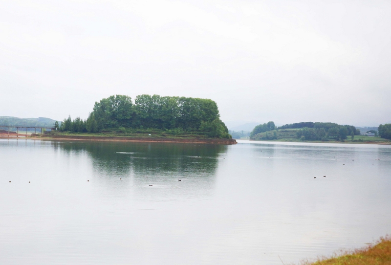 楊灣橋水庫一角。