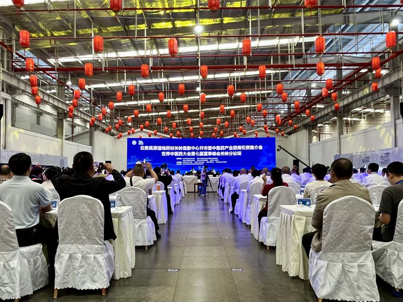 活動現場。人民網李麗萍攝