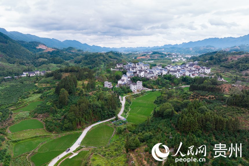航拍荔波至王蒙至瑤山“共同富裕路”兩側的村莊和農田。人民網記者 涂敏攝