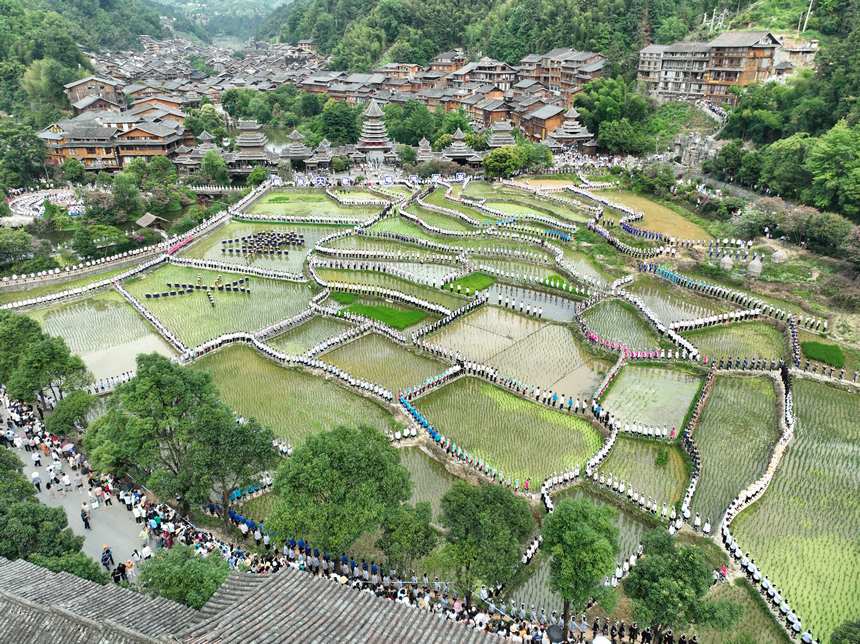 萬人侗族大歌田園展示現場。