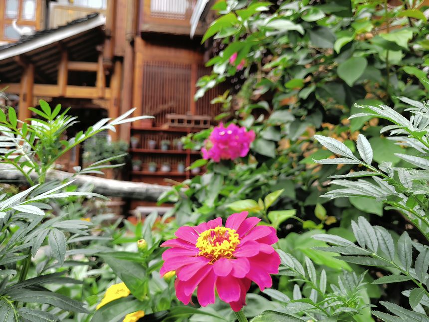 肇興侗寨和美鄉村一角。