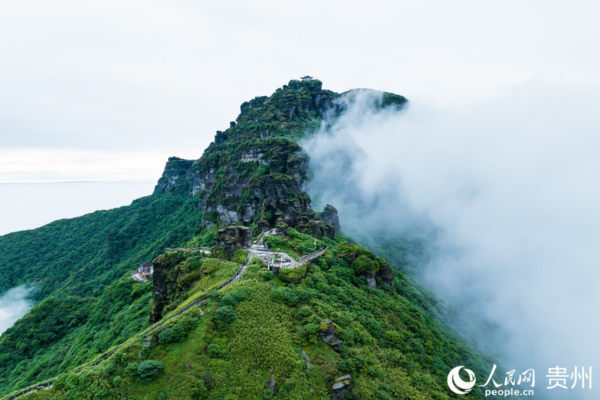 云霧間的梵凈山蘑菇石與老金頂。人民網記者 涂敏攝