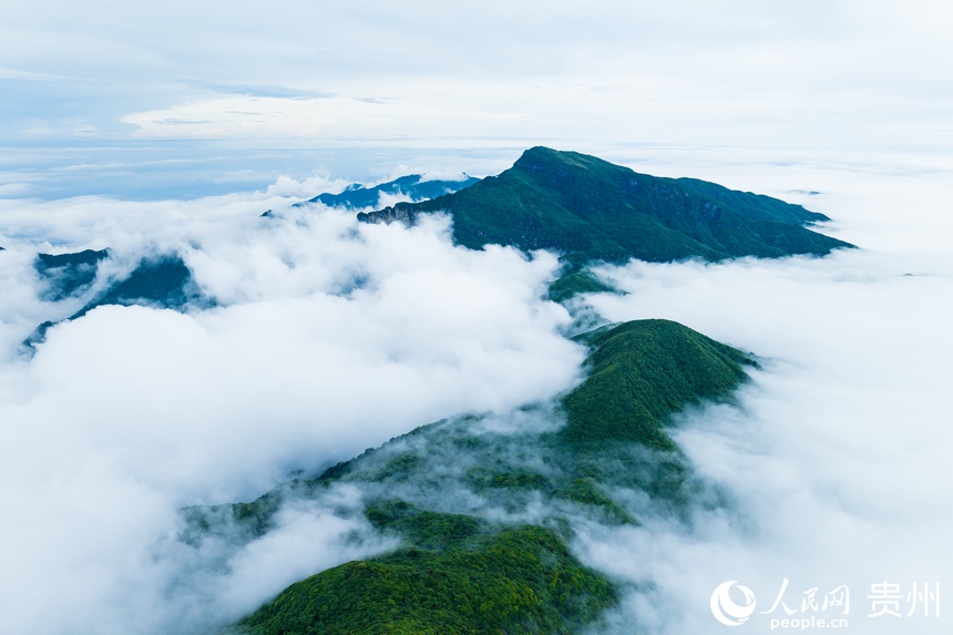 雨后初晴，云霧繚繞的梵凈山。人民網記者 涂敏攝