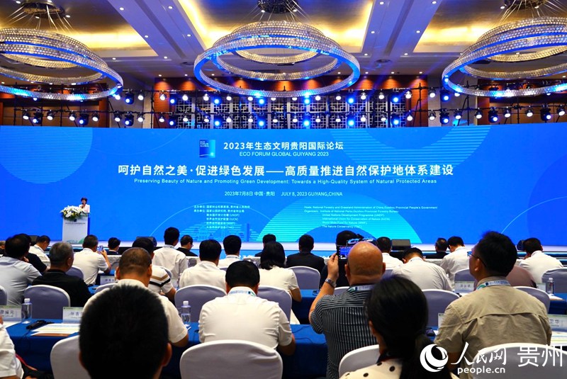 論壇現場。人民網 陽茜攝