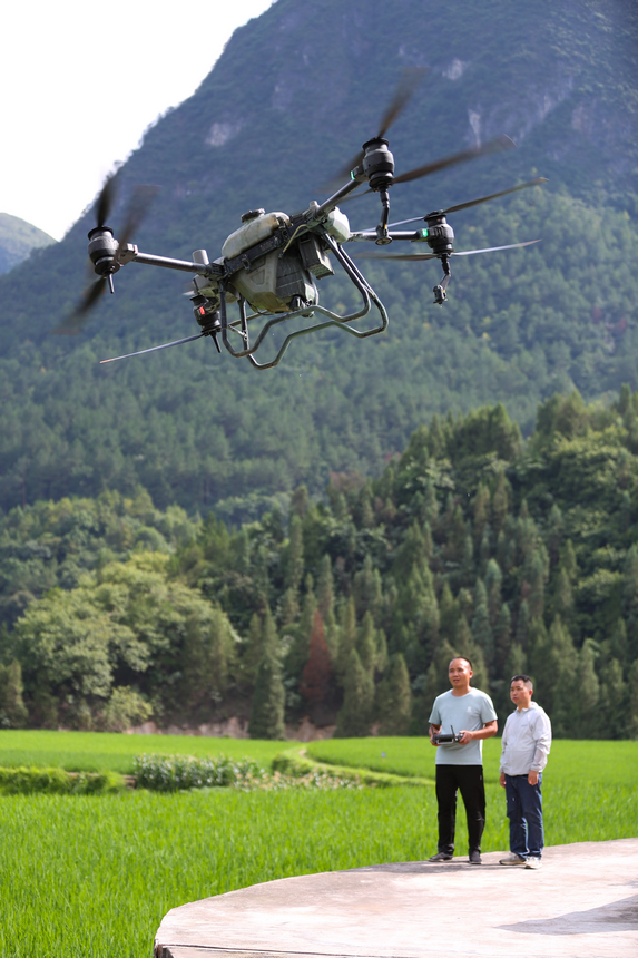 7月10日，技術員操作植保無人機。
