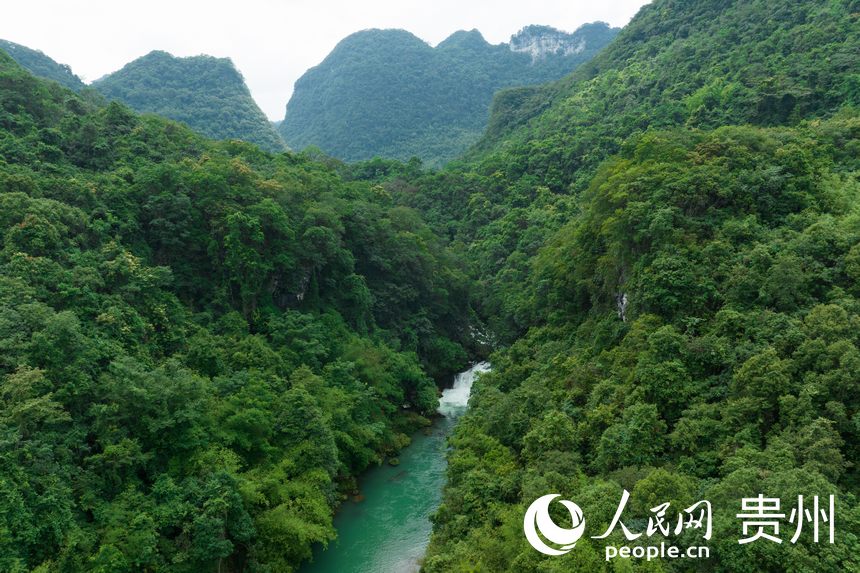航拍貴州茂蘭國家級自然保護區。人民網 涂敏攝