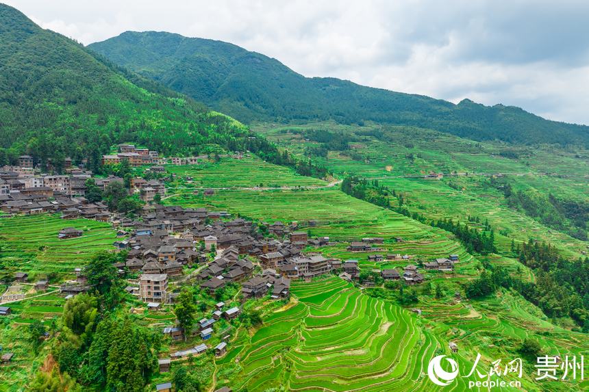 航拍貴州省從江縣加榜梯田。人民網記者 涂敏攝