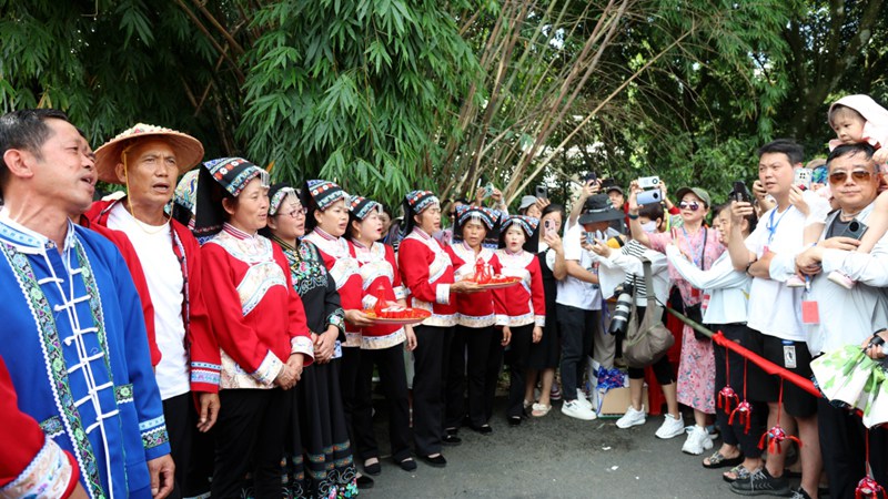 大木村銀杏廣場，布依族男女身著盛裝，手捧甘甜的米酒  查姜維 攝