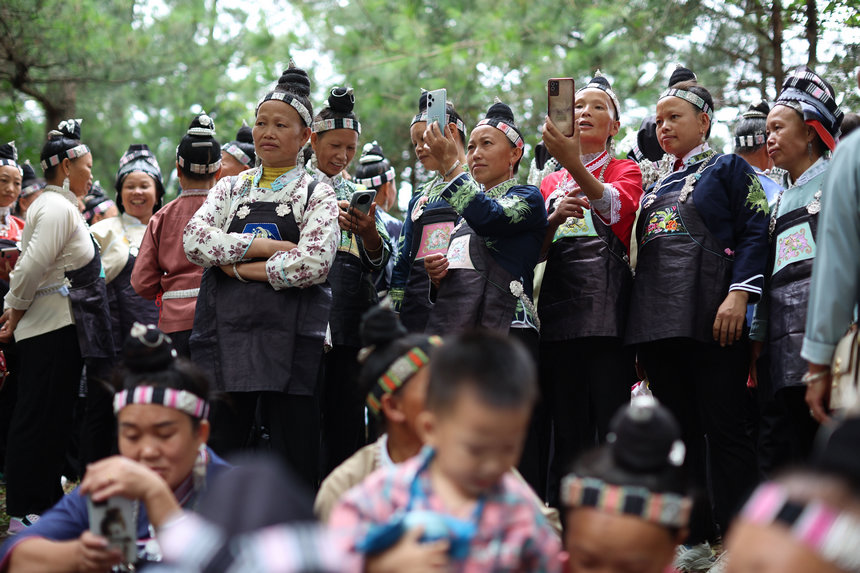 “爬坡節”現場。楊勝賢攝