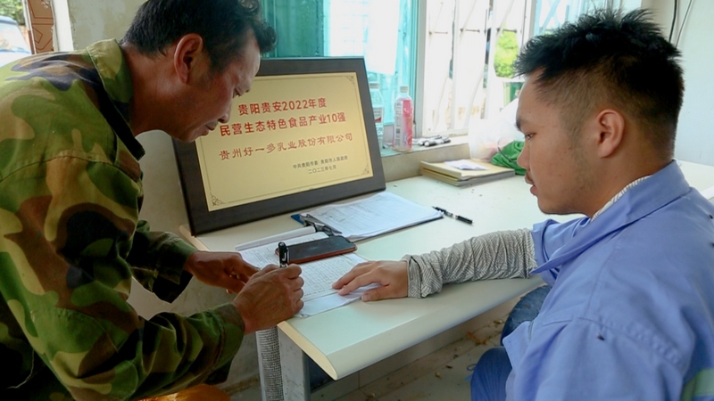 工作人員在對青貯玉米進行質量檢測 張宇攝.jpg