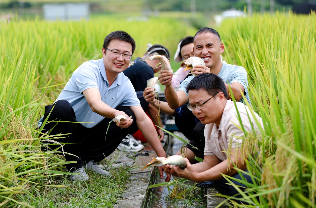 豐收的喜悅。