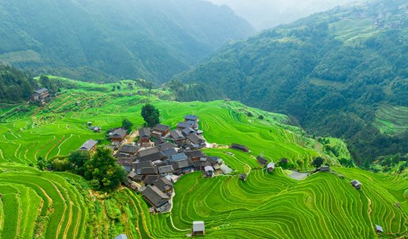 貴州加榜梯田：蒼翠欲滴吸入眼