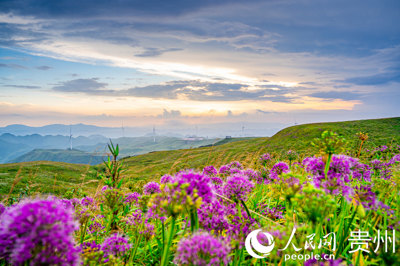 赫章韭菜坪風光。人民網記者 涂敏攝