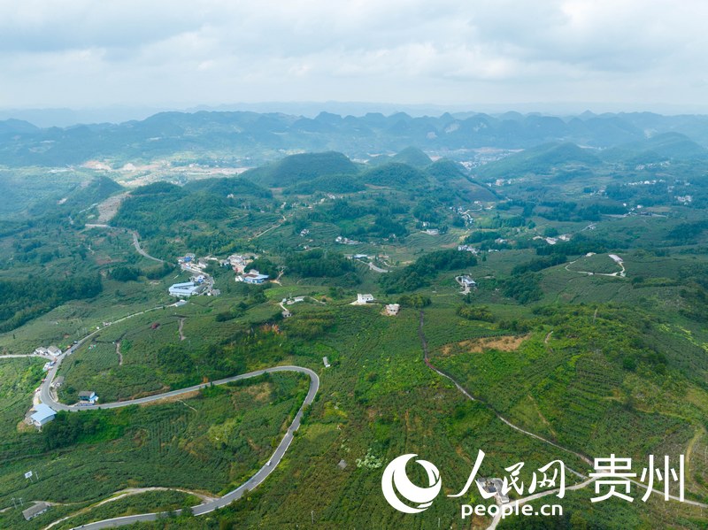 航拍修文平灘村。人民網 陽茜攝