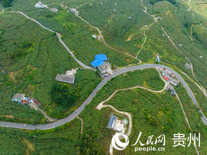 航拍修文平灘村。人民網 陽茜攝