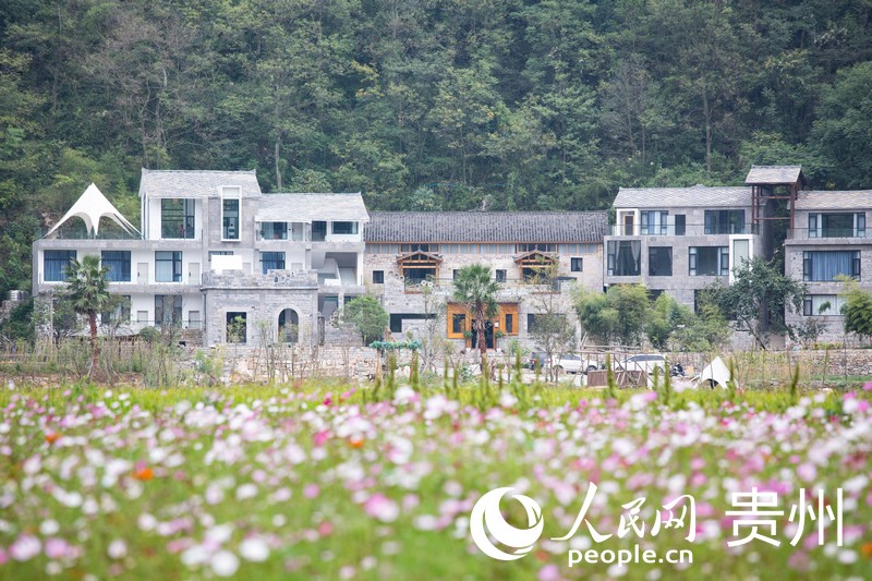 “你家院”內，花海與民宿相互映襯。張宇攝