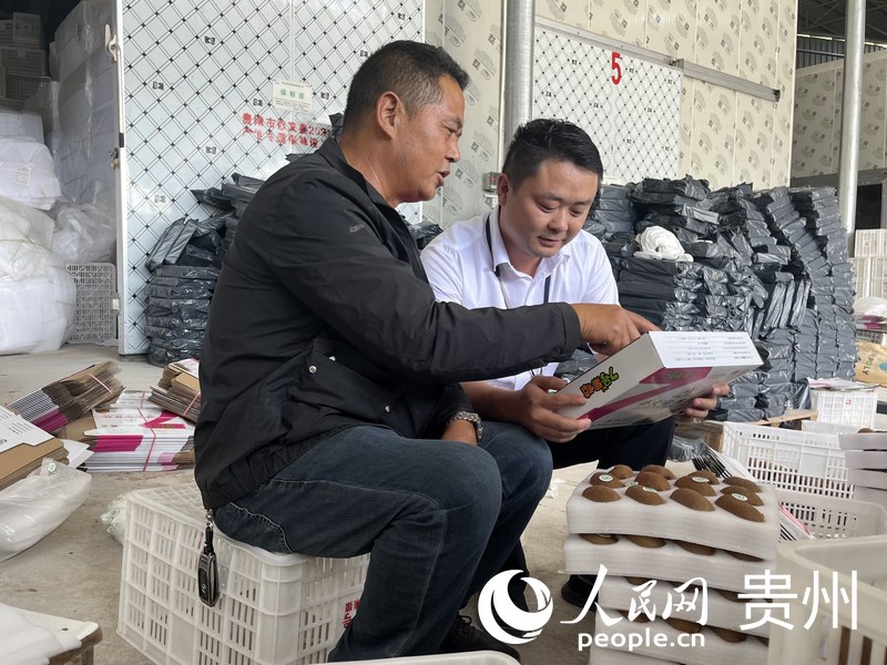 徐文華與李坤交流今年獼猴桃生產經營情況。人民網 李麗萍攝