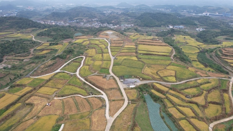 修文縣久長街道清江片區高標準農田航拍--姜繼恒 攝.jpeg
