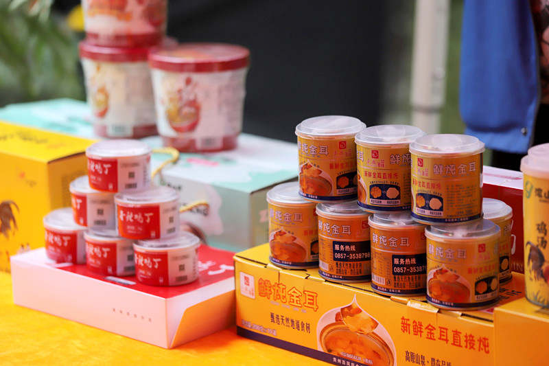  圖為林下種植的藥材。