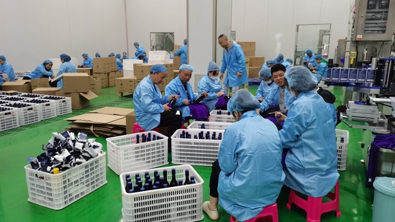 修文縣國投集團工作人員正在裝箱 修文國投集團楊沁 攝.jpeg