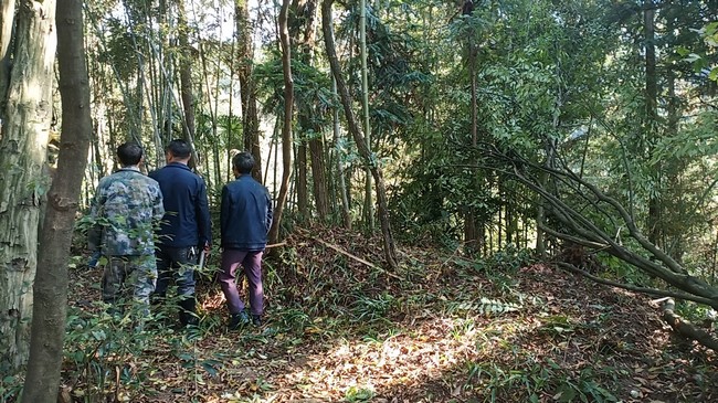 村民自發組織隊伍巡邏山林。