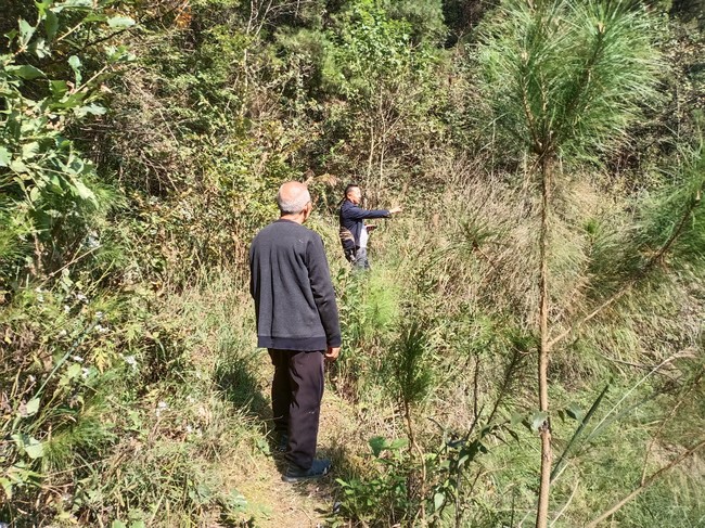 護林員上山開展巡邏巡查。