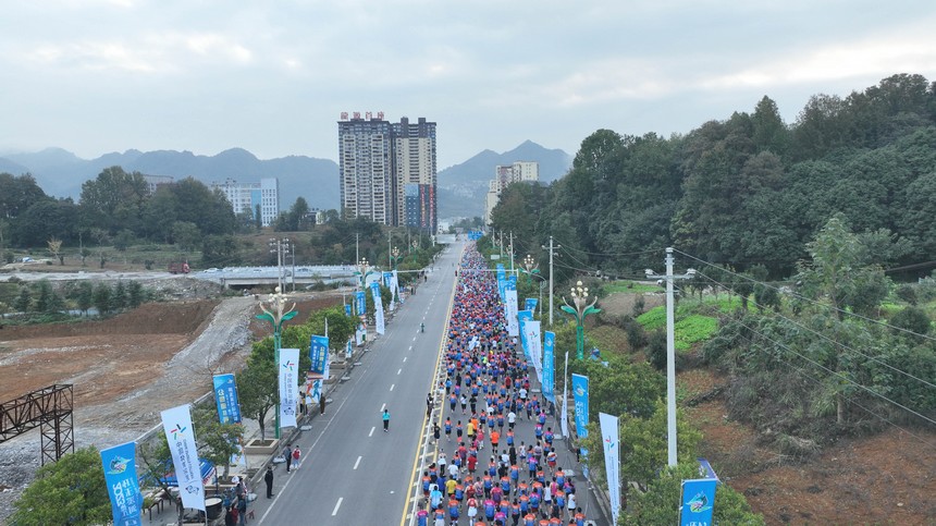 馬拉松賽隊伍。主辦方供圖