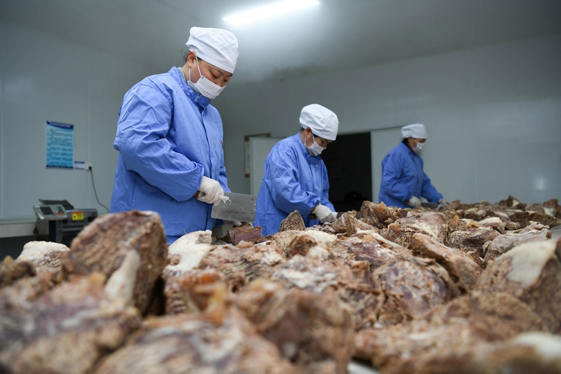 工人正有序地切、炒、晾制牛肉干。