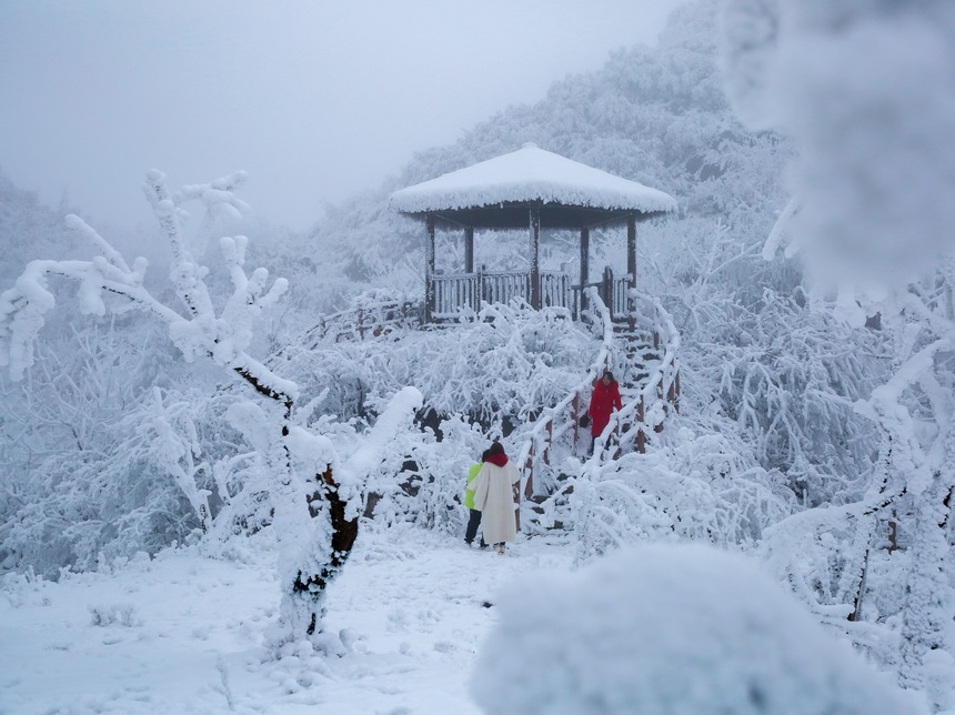 游客在六盤水市梅花山旅游景區拍照打卡。趙樺攝