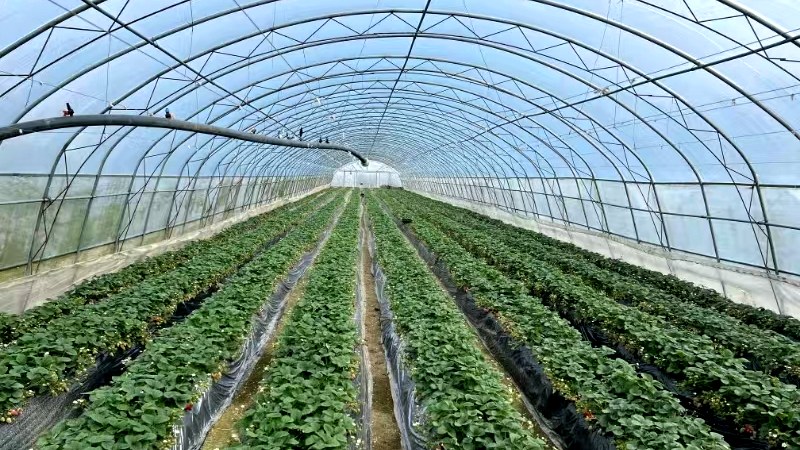 修文：試點先行 示范帶動 持續推進廁所革命.jpg